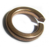M6 Phosphor Bronze Spring Washer